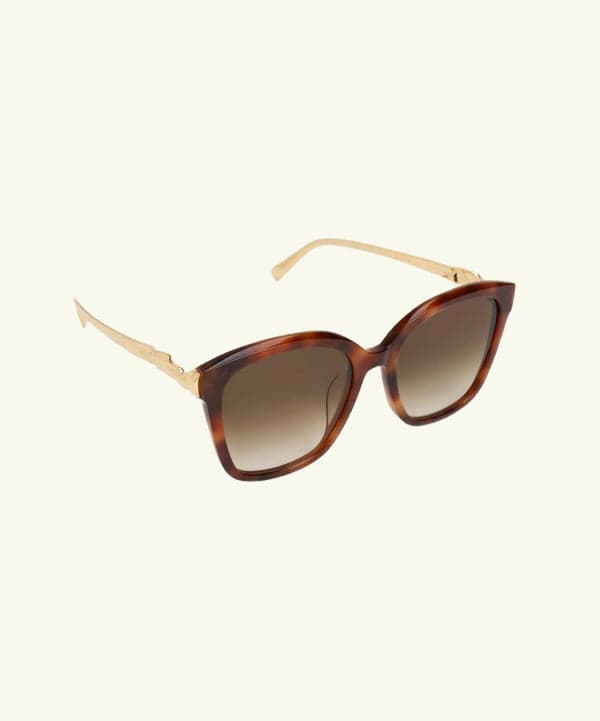 Sunglass